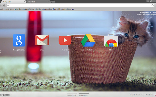 Kitty Cat Full HD Axlg  from Chrome web store to be run with OffiDocs Chromium online
