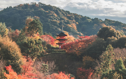 Kiyomizu Temple in Forest in Kyoto in Japan  from Chrome web store to be run with OffiDocs Chromium online