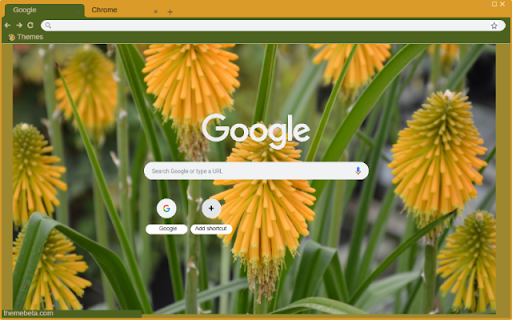 Kniphofia  from Chrome web store to be run with OffiDocs Chromium online