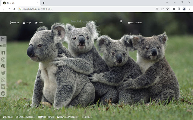 Koala-Hintergrundbild Neue Registerkarte aus dem Chrome-Webshop, die mit OffiDocs Chromium online ausgeführt werden soll