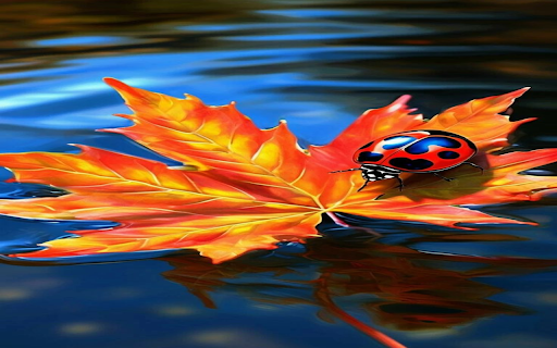 Ladybug on maple leaf wallpaper  from Chrome web store to be run with OffiDocs Chromium online