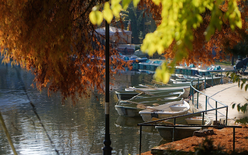 lake and boat  from Chrome web store to be run with OffiDocs Chromium online