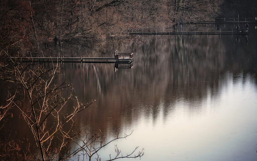 Lake and Bridges  from Chrome web store to be run with OffiDocs Chromium online