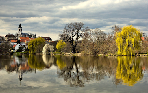 Lake and tree shadows  from Chrome web store to be run with OffiDocs Chromium online