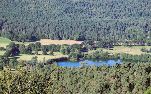 lake in the middle of the green forest  from Chrome web store to be run with OffiDocs Chromium online