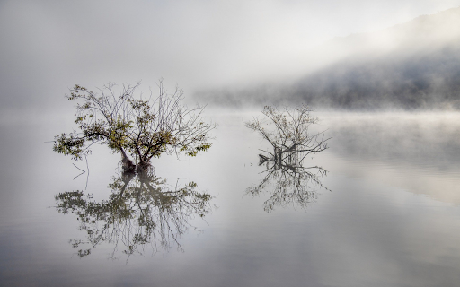 Lake mirage early morning  from Chrome web store to be run with OffiDocs Chromium online
