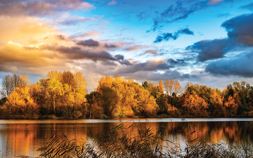 Lake Nature  from Chrome web store to be run with OffiDocs Chromium online