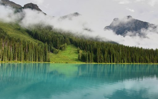 Lake next to the forest  from Chrome web store to be run with OffiDocs Chromium online