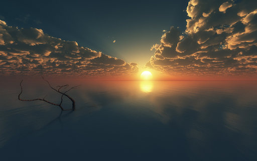 Lake of tree branches and sun  from Chrome web store to be run with OffiDocs Chromium online