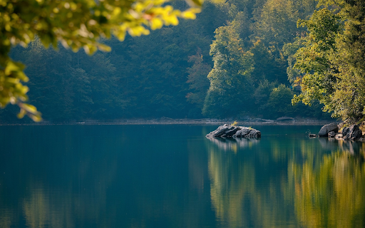 Lake of trees and rocks  from Chrome web store to be run with OffiDocs Chromium online