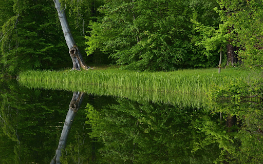 Lakeside trees  from Chrome web store to be run with OffiDocs Chromium online