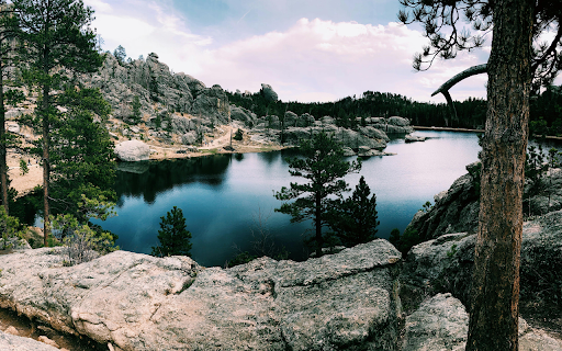 Lake With Green Leafed Trees  from Chrome web store to be run with OffiDocs Chromium online