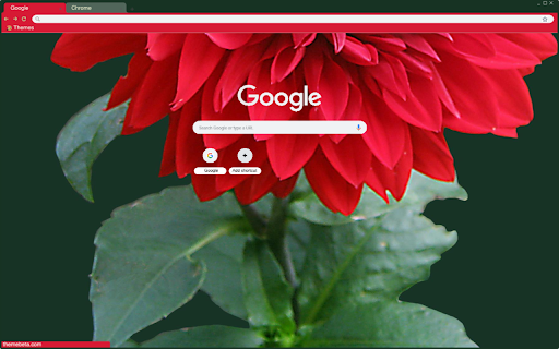 Lala Flower theme  from Chrome web store to be run with OffiDocs Chromium online