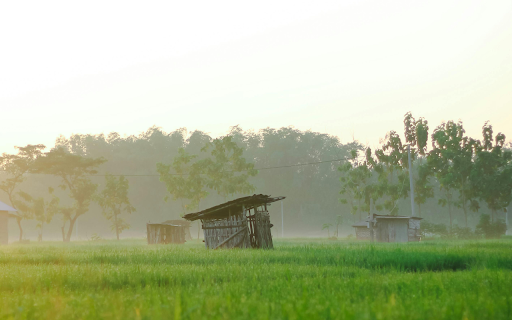 Landscape Photography of a Rice Field  from Chrome web store to be run with OffiDocs Chromium online