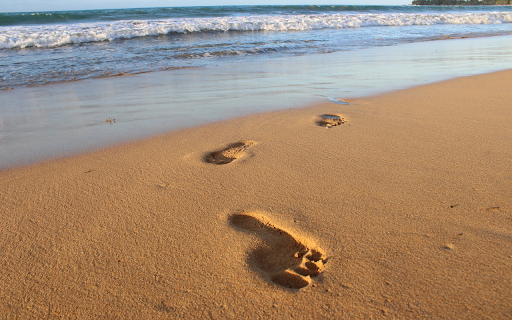 Large footprints in the sand  from Chrome web store to be run with OffiDocs Chromium online