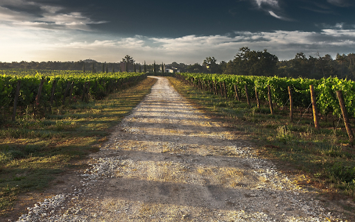 Large grape farm  from Chrome web store to be run with OffiDocs Chromium online