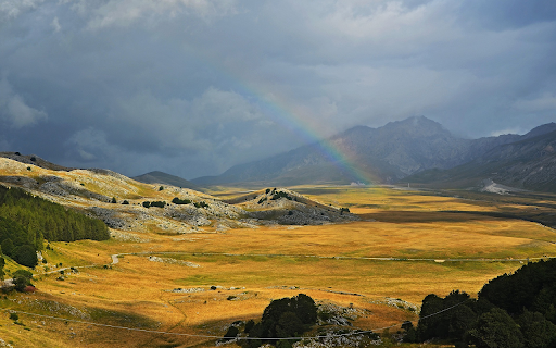 Large lawn  from Chrome web store to be run with OffiDocs Chromium online