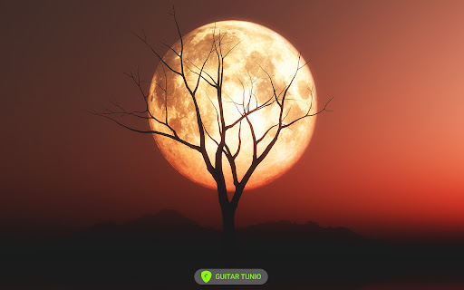 Last Night Chords by Morgan Wallen  from Chrome web store to be run with OffiDocs Chromium online