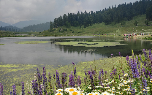 Lavender Flowers by a Lakeside  from Chrome web store to be run with OffiDocs Chromium online