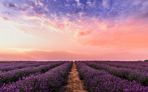 Lavender Sunset Dream  from Chrome web store to be run with OffiDocs Chromium online