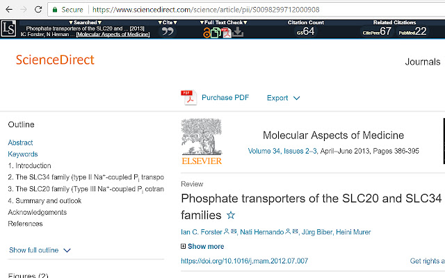 Lazy Scholar  from Chrome web store to be run with OffiDocs Chromium online