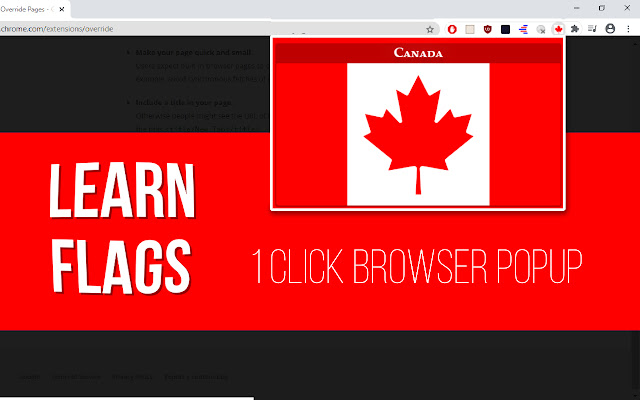 Learn Flags (Popup Game)  from Chrome web store to be run with OffiDocs Chromium online