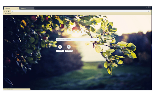 Leaves in dawn  from Chrome web store to be run with OffiDocs Chromium online