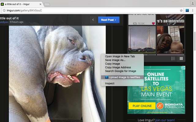 Chrome web mağazasındaki leetfiles çevrimiçi OffiDocs Chromium ile çalıştırılacak
