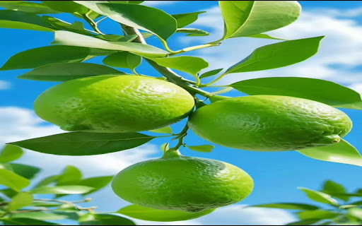 lemon wallpaper  from Chrome web store to be run with OffiDocs Chromium online