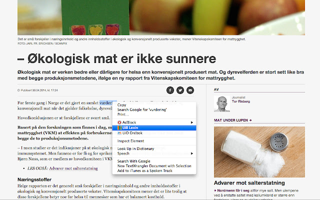 Lexin  from Chrome web store to be run with OffiDocs Chromium online