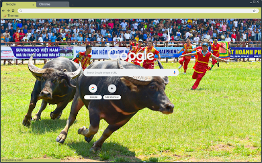 Lễ hội chọi trâu  from Chrome web store to be run with OffiDocs Chromium online