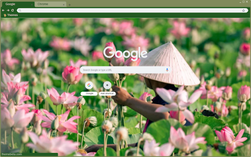 Lễ hội hoa sen Tây Hồ  from Chrome web store to be run with OffiDocs Chromium online