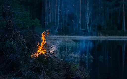 Light a fire in the forest  from Chrome web store to be run with OffiDocs Chromium online