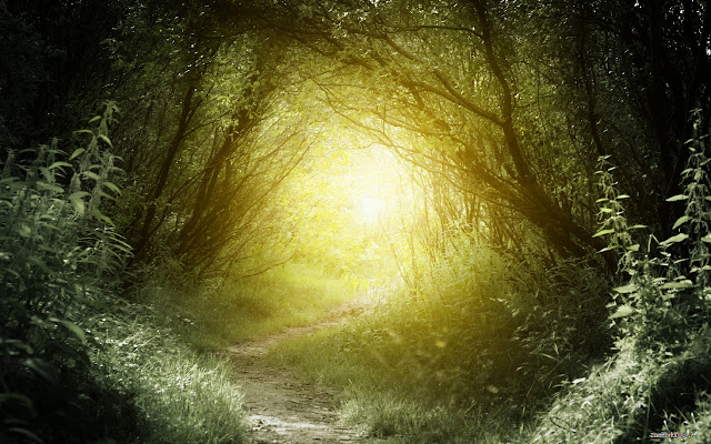 Light in the Wood  from Chrome web store to be run with OffiDocs Chromium online