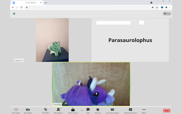 Light Mode for Zoom  from Chrome web store to be run with OffiDocs Chromium online