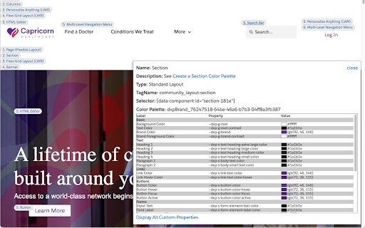 Lightning Web Runtime (LWR) Build Info  from Chrome web store to be run with OffiDocs Chromium online