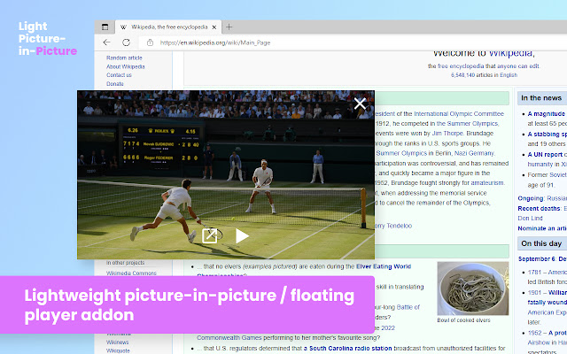 Light picture in picture  from Chrome web store to be run with OffiDocs Chromium online