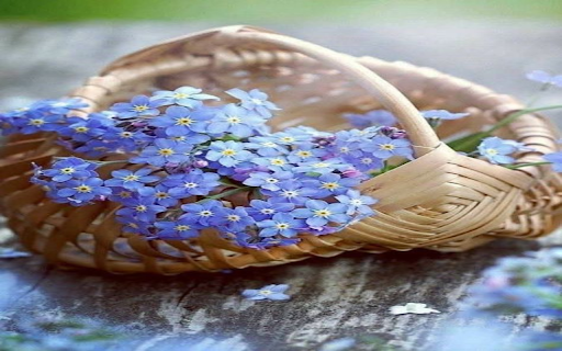 Light purple flower basket wallpaper  from Chrome web store to be run with OffiDocs Chromium online