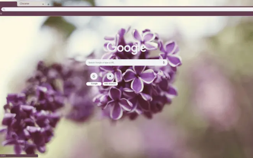 Lilacs  from Chrome web store to be run with OffiDocs Chromium online