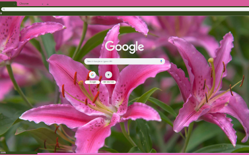 Lily  from Chrome web store to be run with OffiDocs Chromium online