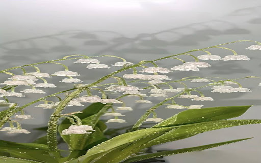 lily pot wallpaper  from Chrome web store to be run with OffiDocs Chromium online