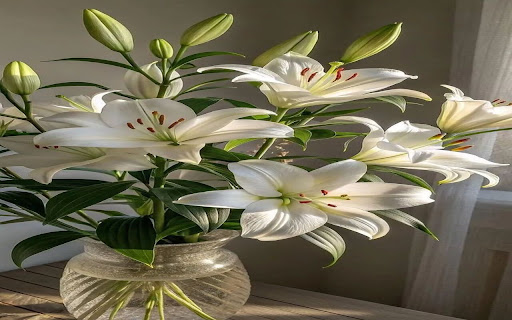 lily vase wallpaper  from Chrome web store to be run with OffiDocs Chromium online