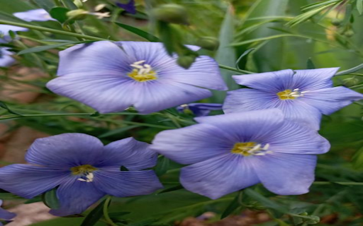 Linen Wallpaper  from Chrome web store to be run with OffiDocs Chromium online