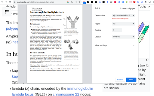 lines off  from Chrome web store to be run with OffiDocs Chromium online