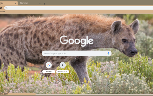Linh Cau  from Chrome web store to be run with OffiDocs Chromium online