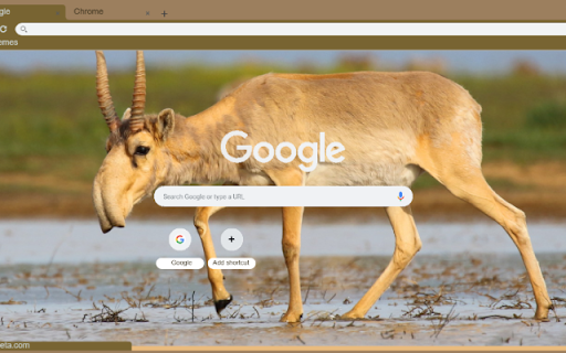Linh Duong  from Chrome web store to be run with OffiDocs Chromium online