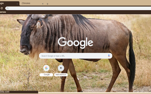 Linh duong dau bo  from Chrome web store to be run with OffiDocs Chromium online