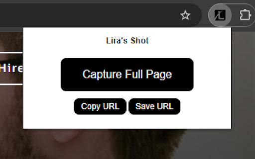 Liras Shot  from Chrome web store to be run with OffiDocs Chromium online