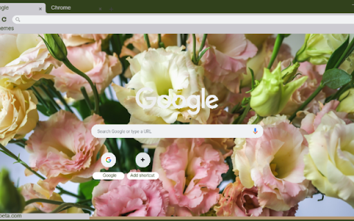 Lisianthus  from Chrome web store to be run with OffiDocs Chromium online Lisianthus  from Chrome web store to be run with OffiDocs Chromium online