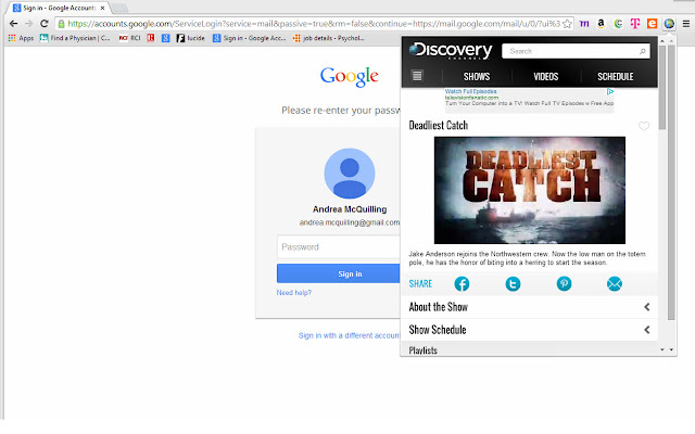 Lite Site | Access Discovery  from Chrome web store to be run with OffiDocs Chromium online